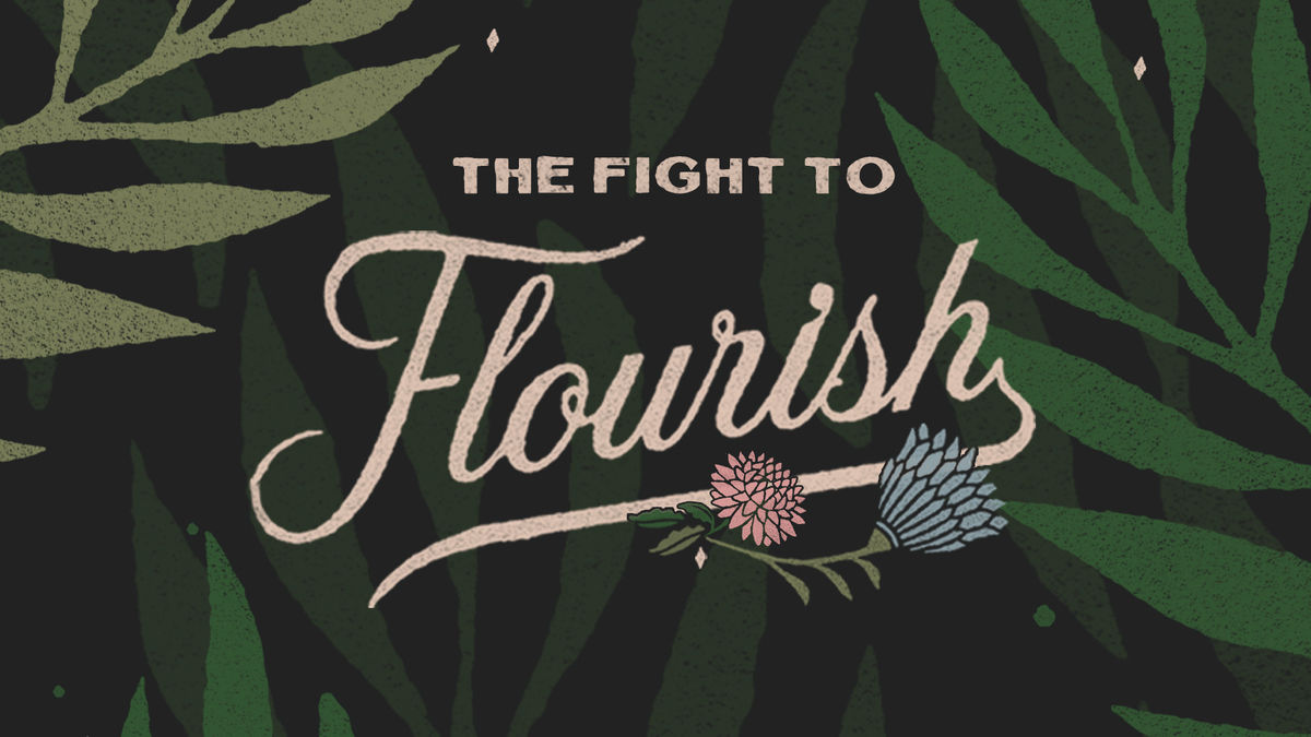 the-fight-to-flourish
